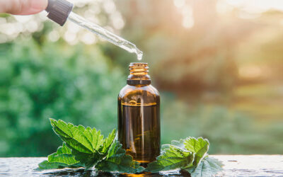 El poder de los Aceites esenciales en tu rutina de Belleza